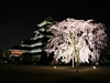 国宝松本城で20日まで恒例夜桜会